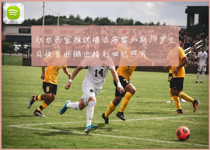 切尔西官推祝福法布雷加斯39岁生日快乐并晒出精彩回忆照片